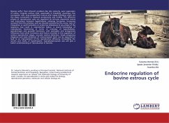 Endocrine regulation of bovine estrous cycle