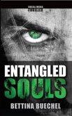 Entangled Souls (eBook, ePUB)