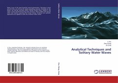 Analytical Techniques and Solitary Water Waves - Zou, Li;Wang, Zhen;Zong, Zhi