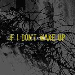 If I Don'T Wake Up - Life Cried