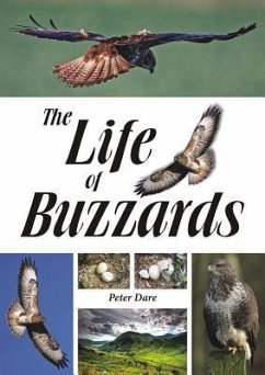 The Life of Buzzards - Dare, Peter