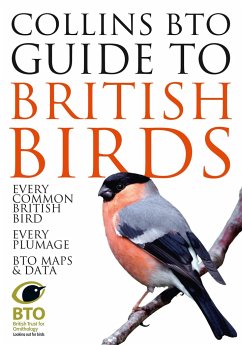 Collins BTO Guide to British Birds - Sterry, Paul; Stancliffe, Paul