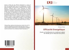 Efficacité Energétique - Ndiaye, Ndiouga