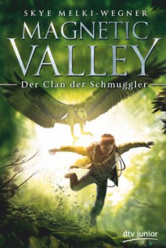 Der Clan der Schmuggler / Magnetic Valley Bd.2 - Melki-Wegner, Skye
