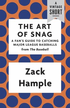 Cover The Art of Snag (eBook, ePUB)