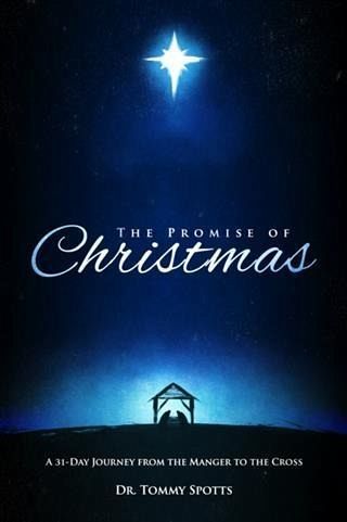 Promise of Christmas (eBook, ePUB)