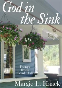 Cover God in the Sink (eBook, ePUB)
