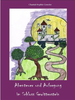 Cover Abenteuer und Aufregung im Schloss Gewitterstein (eBook, ePUB)