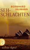 Sehschlachten / Fünf-Sinne-Serie Bd.2 (eBook, ePUB)
