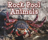 Rock Pool Animals (eBook, PDF)