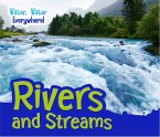 Rivers and Streams (eBook, PDF)