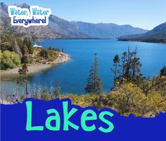 Cover Lakes (eBook, PDF)