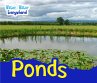 Ponds (eBook, PDF) - Bild 1