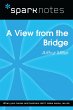 A View from the Bridge (SparkNotes... - Bild 1