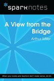 A View from the Bridge (SparkNotes Literature Guide) (eBook, ePUB)
