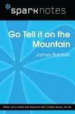 Go Tell It on the Mountain (SparkNotes Literature Guide) (eBook, ePUB)