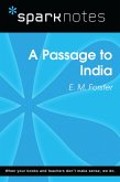A Passage to India (SparkNotes Literature Guide) (eBook, ePUB)