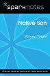 Native Son (SparkNotes Literature... - Bild 1