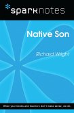 Native Son (SparkNotes Literature Guide) (eBook, ePUB)