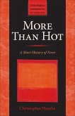 More Than Hot (eBook, ePUB)