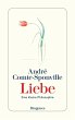 Liebe (eBook, ePUB) - Bild 1