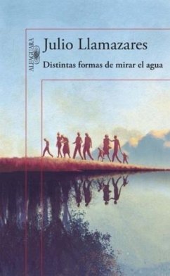 Distintas formas de mirar el agua - Llamazares, Julio