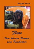 Flexi - Vom kleinen Vampir zum Kuscheltier (eBook, ePUB)