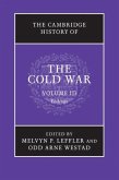Cambridge History of the Cold War: Volume 3, Endings (eBook, PDF)