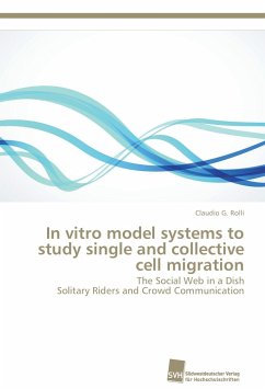 Cover In vitro model systems to study single and collective cell migration