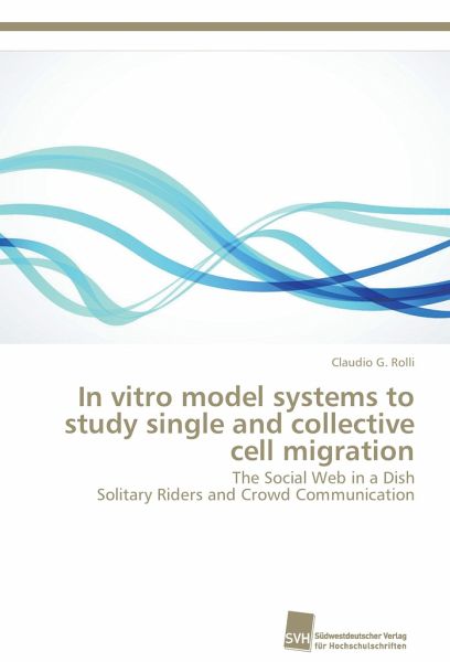 In vitro model systems to study single and collective cell migration In vitro model systems to study single and collective cell migration