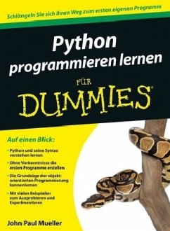 Python programmieren lernen für Dummies - Mueller, John P.