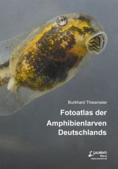 Cover Fotoatlas der Amphibienlarven Deutschlands
