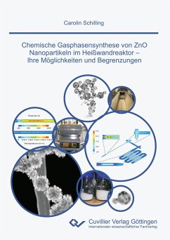 Chemische Gasphasensynthese von ZnO Nanopartikeln im Heißwandreaktor. Ihre Möglichkeiten und Begrenzungen - Schilling, Carolin