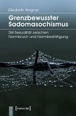 Grenzbewusster Sadomasochismus (eBook, PDF)