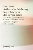 Ästhetische Erfahrung in der Literatur der 1970er Jahre (eBook, PDF)