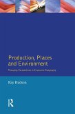 Production, Places and Environment (eBook, PDF)