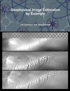 Geophysical Image Estimation by Example - Claerbout, Jon