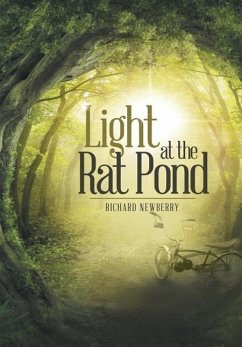 Light at the Rat Pond - Newberry, Richard
