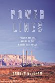Power Lines (eBook, ePUB)
