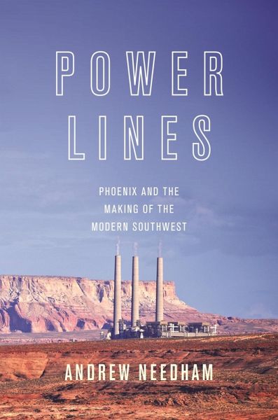 Power Lines (eBook, ePUB)