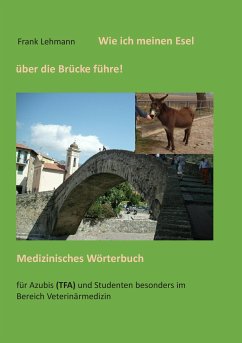 Wie ich meinen Esel über die Brücke führe - Lehmann, Frank