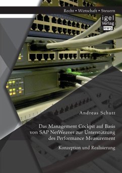 Das Management Cockpit auf Basis von SAP NetWeaver zur Unterstützung des Performance Measurement: Konzeption und Realisierung - Schutt, Andreas