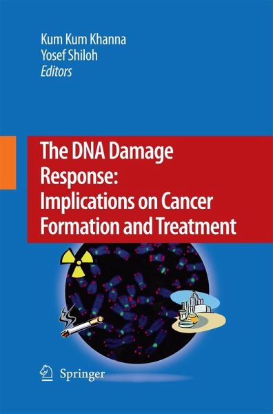The DNA Damage Response: Implications on Cancer Formation and Treatment