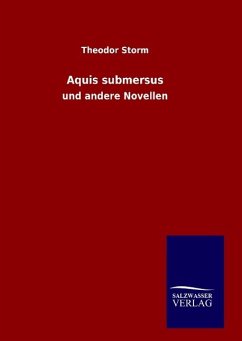 Aquis submersus - Storm, Theodor