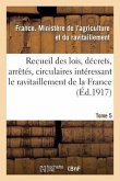 Recueil Des Lois, Décrets, Arrêtés, Circulaires, Rapports. T. 5, 1er Janvier Au 15 Août 1919.