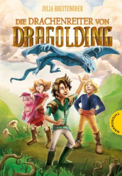 Cover Die Drachenreiter von Dragolding