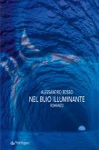 Nel buio illuminante (eBook, ePUB)