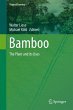 Bamboo - Bild 1