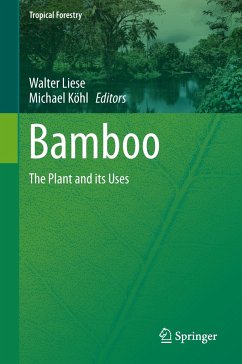 Bamboo