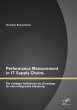 Performance Measurement in IT Supply... - Bild 1